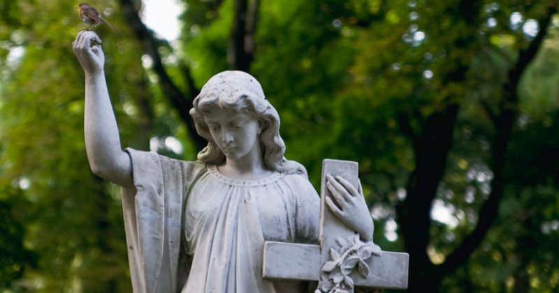 Что такое лакриматорий и почему лучше обходиться без него - свежие новости на Toplenta по теме тв