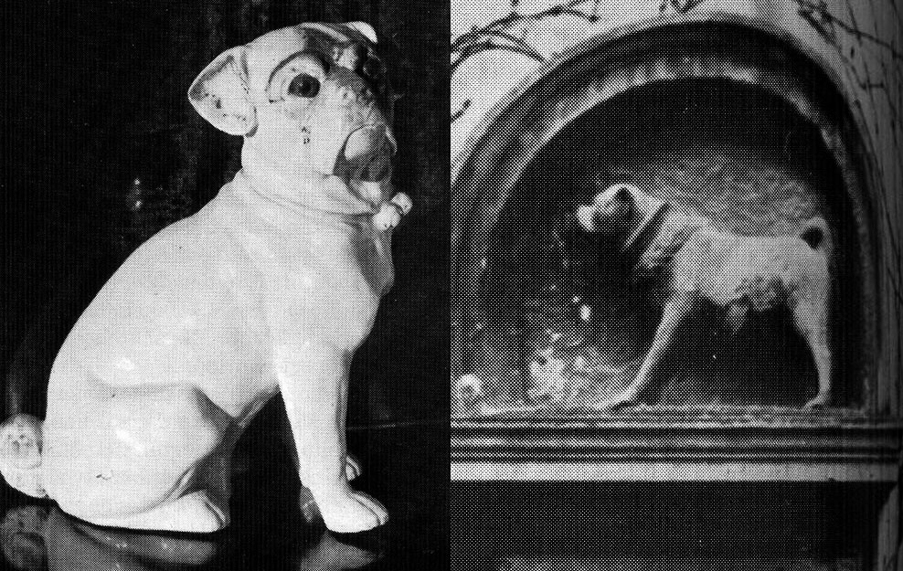 Орден Мопса объединял европейских аристократов, поклонявшихся мопсам - свежие новости на Toplenta по теме германия