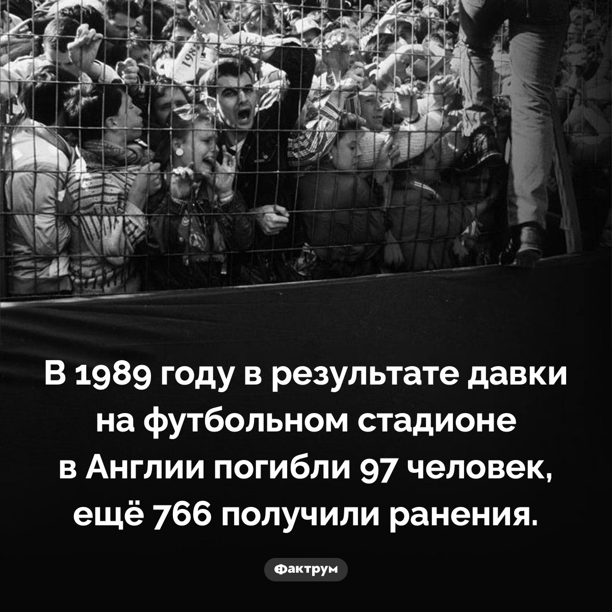 Давка на стадионе «Хиллсборо» - свежие новости на Toplenta по теме Граф