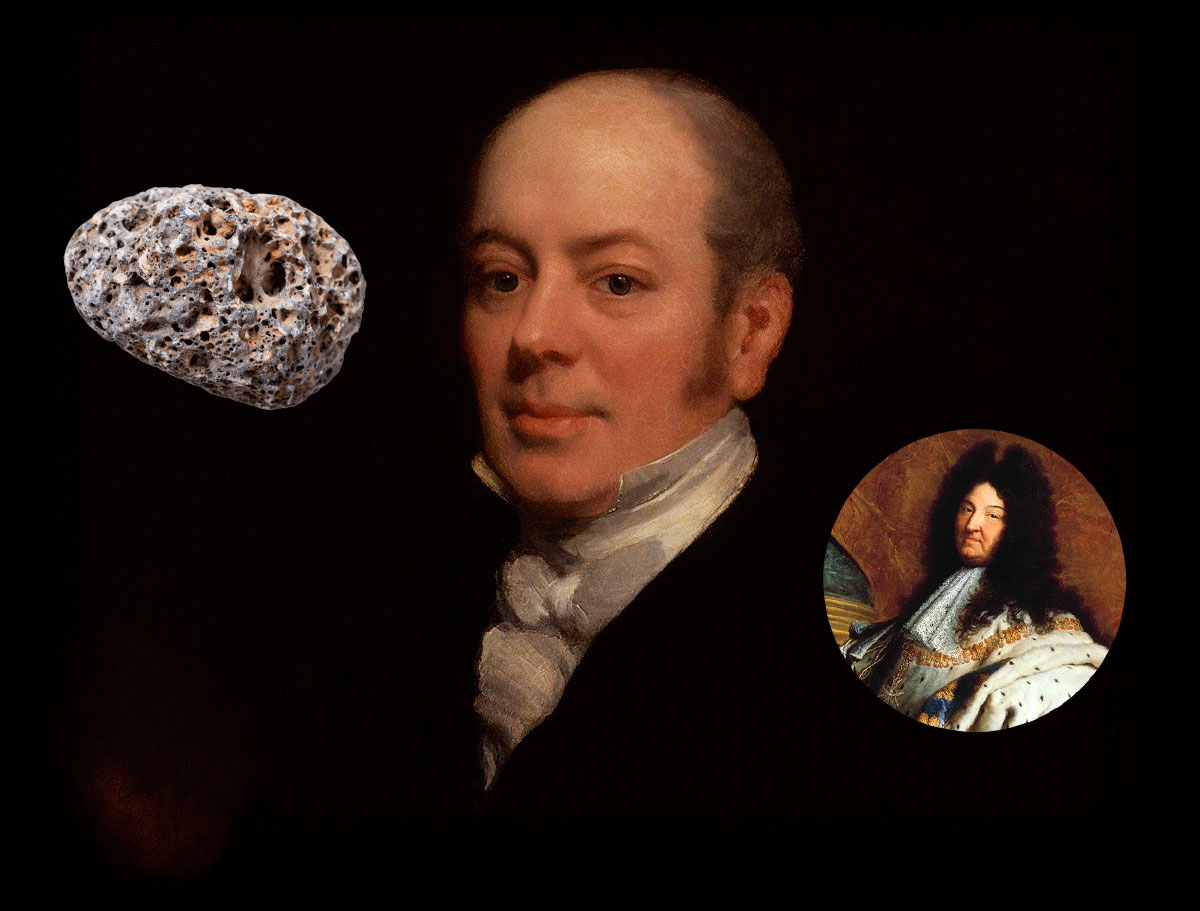 Учёный, который проглотил реликвию - свежие новости на Toplenta по теме xiv