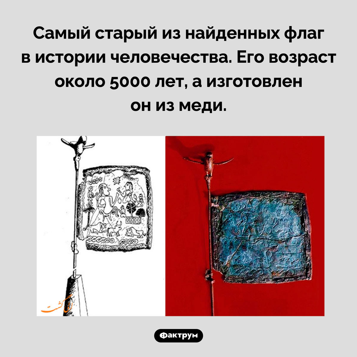 Самый древний флаг - свежие новости на Toplenta по теме Наук