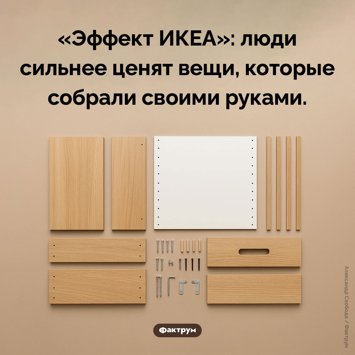 Эффект ИКЕА - свежие новости на Toplenta по теме Психологи