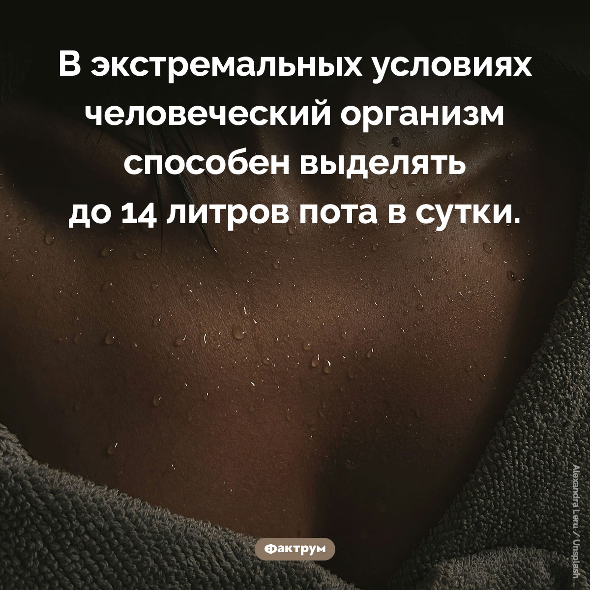 Сколько пота в сутки может выделить человек - свежие новости на Toplenta по теме Факты в картинках