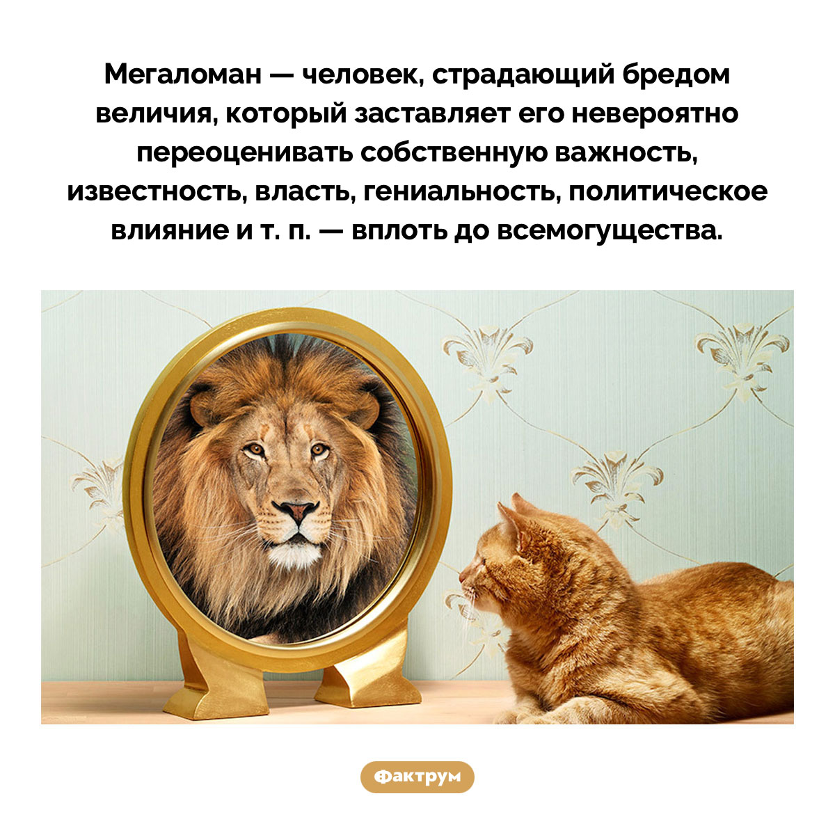 Кто такой «мегаломан» - свежие новости на Toplenta по теме Психологи