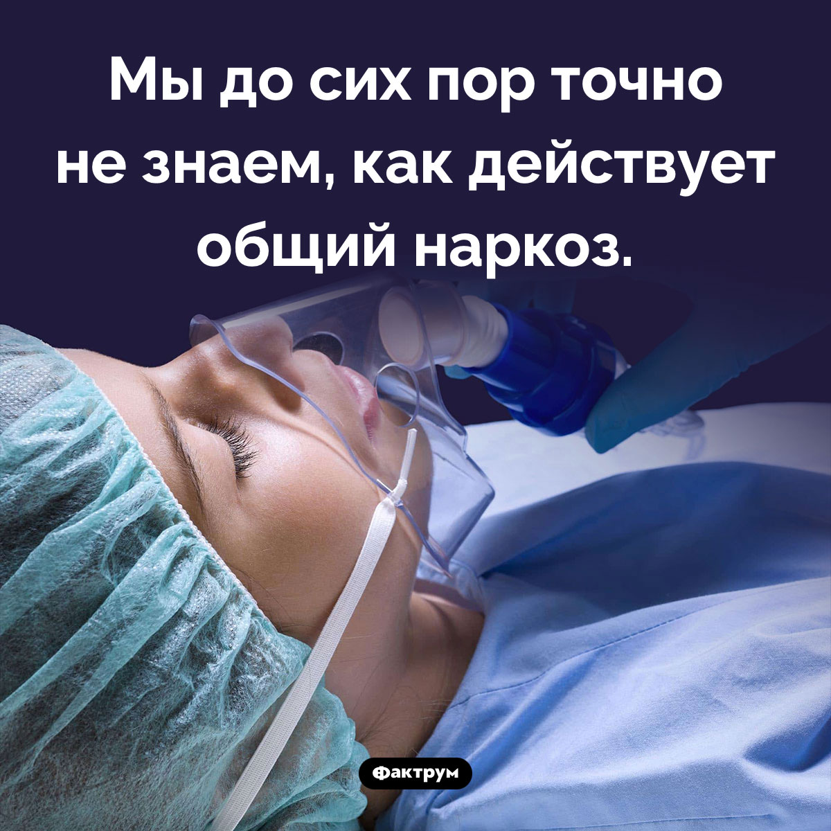 Общий наркоз - свежие новости на Toplenta по теме Факты в картинках