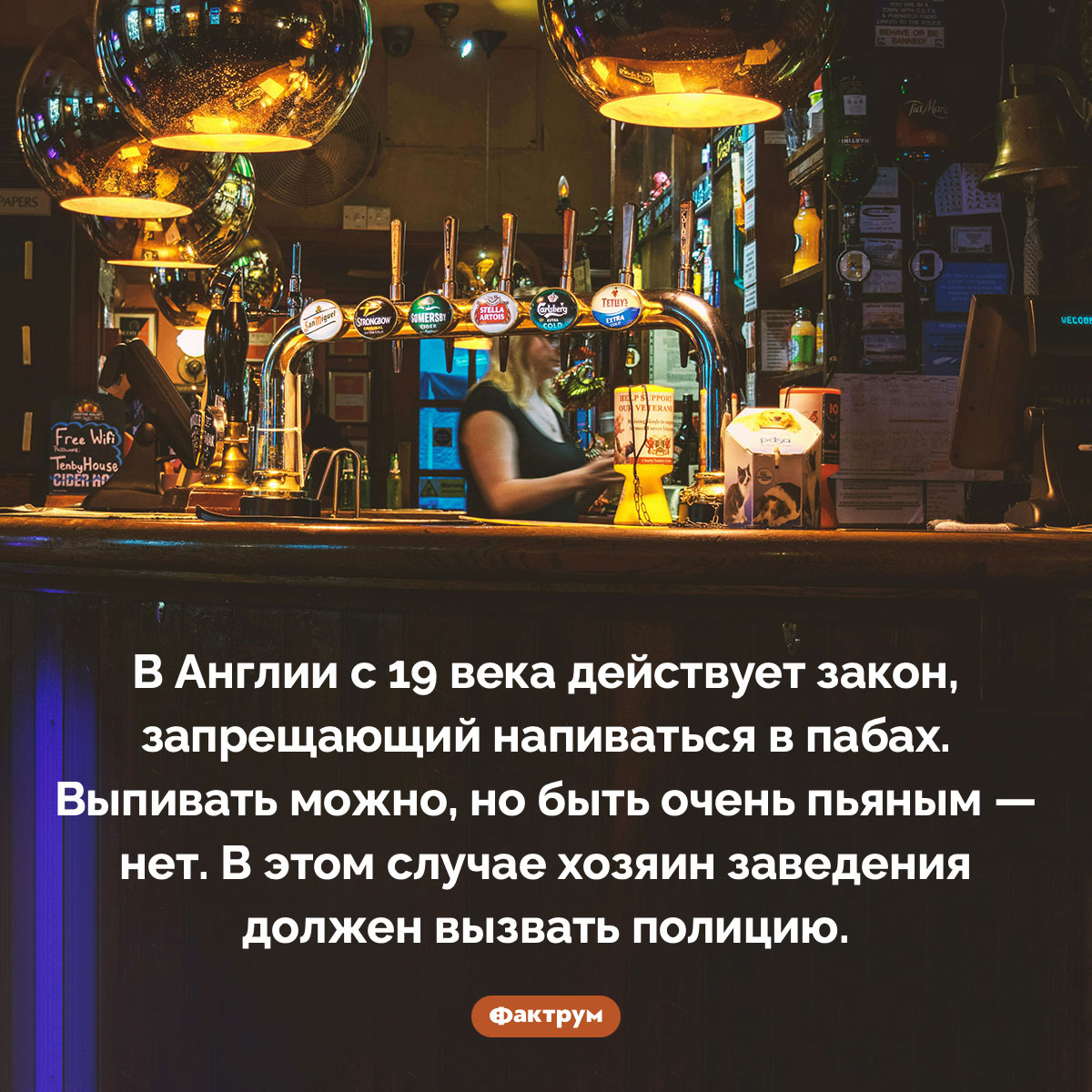 В Англии запрещено напиваться в барах - свежие новости на Toplenta по теме законы