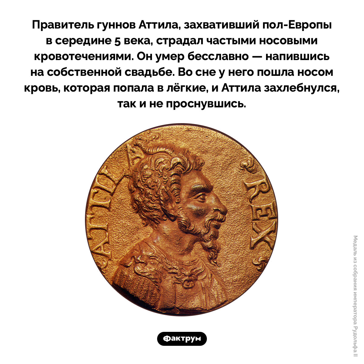 Гунн Аттила умер от кровотечения из носа - свежие новости на Toplenta по теме По