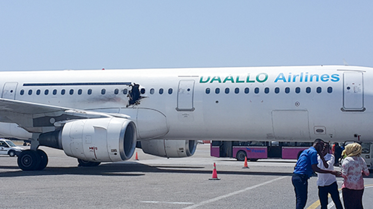 Террорист-неудачник - свежие новости на Toplenta по теме Факт