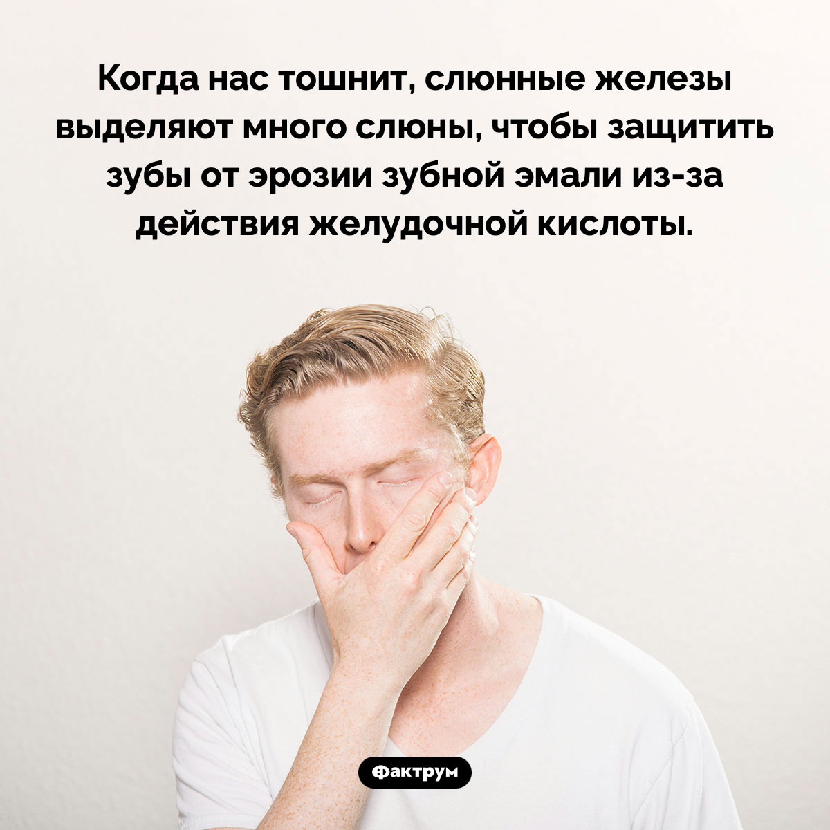 Почему, когда нас тошнит, выделяется много слюны - свежие новости на Toplenta по теме Факты в картинках