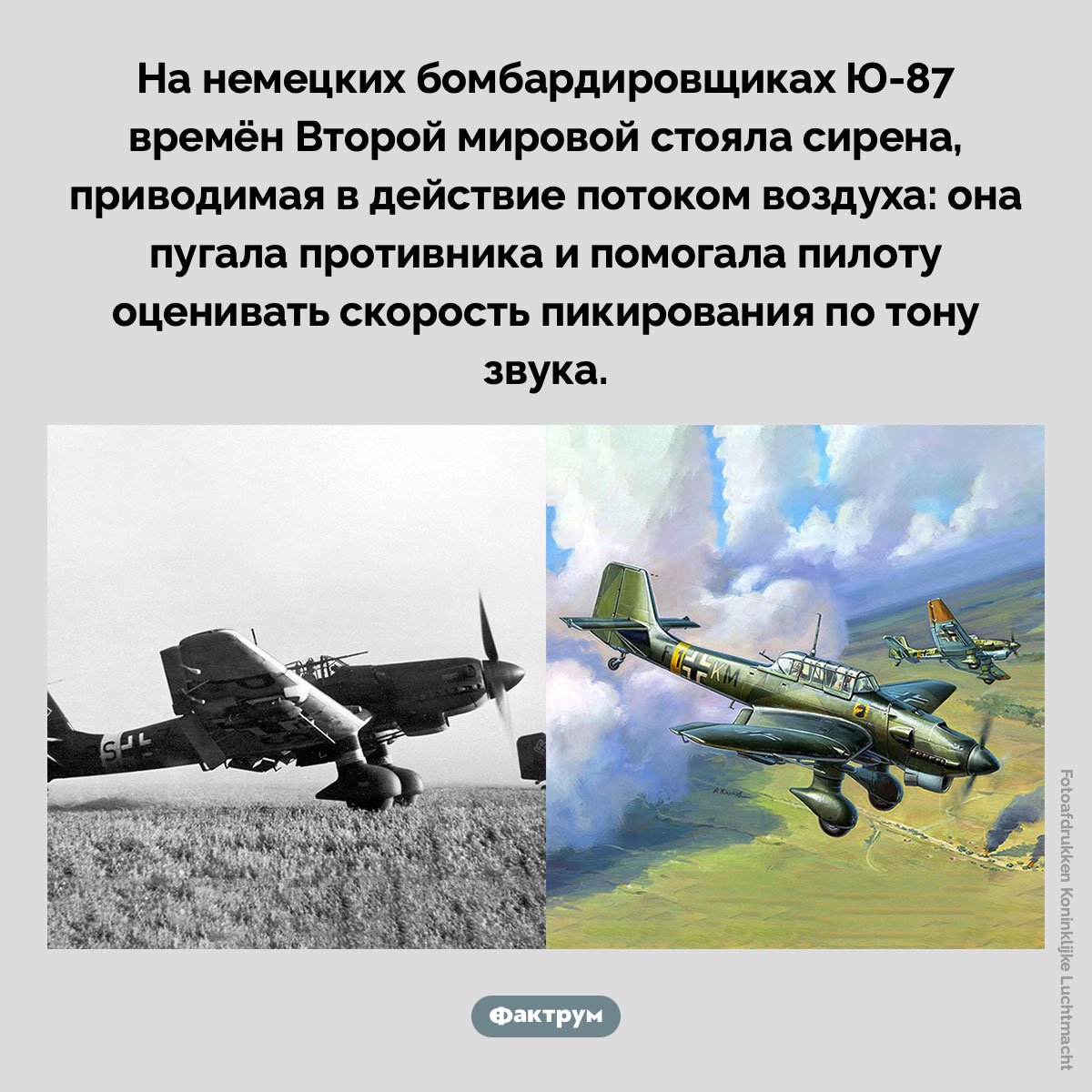 Бомбардировщик Ю-87 - свежие новости на Toplenta по теме Мировая война