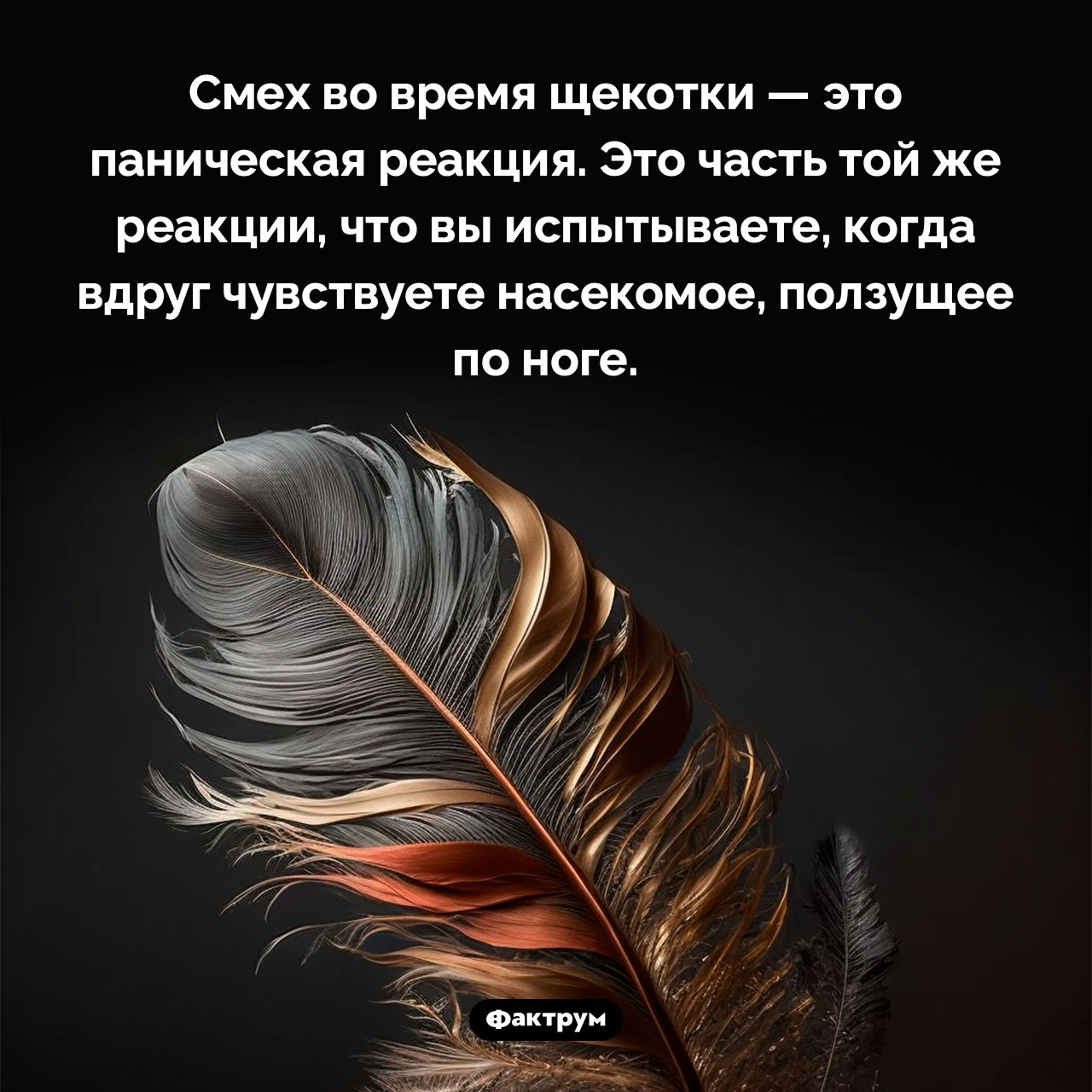 Почему мы смеемся во время щекотки - свежие новости на Toplenta по теме 03.03.2023