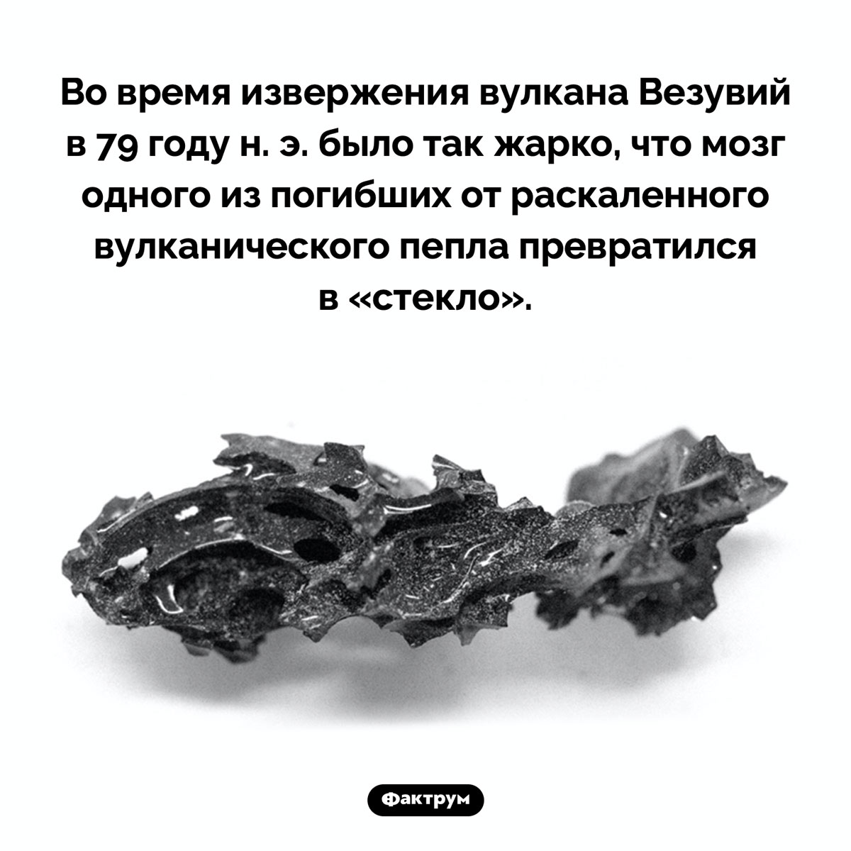 Стеклянный мозг жертвы извержения вулкана - свежие новости на Toplenta по теме Наук