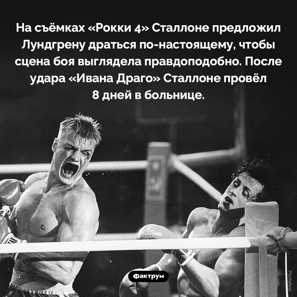 Удар Лундгрена уложил Сталлоне в больницу на 8 дней - свежие новости на Toplenta по теме Известны
