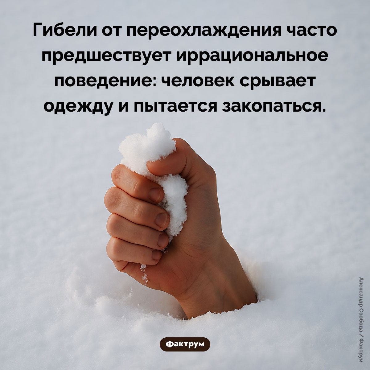 Предсмертное копание - свежие новости на Toplenta по теме Чел