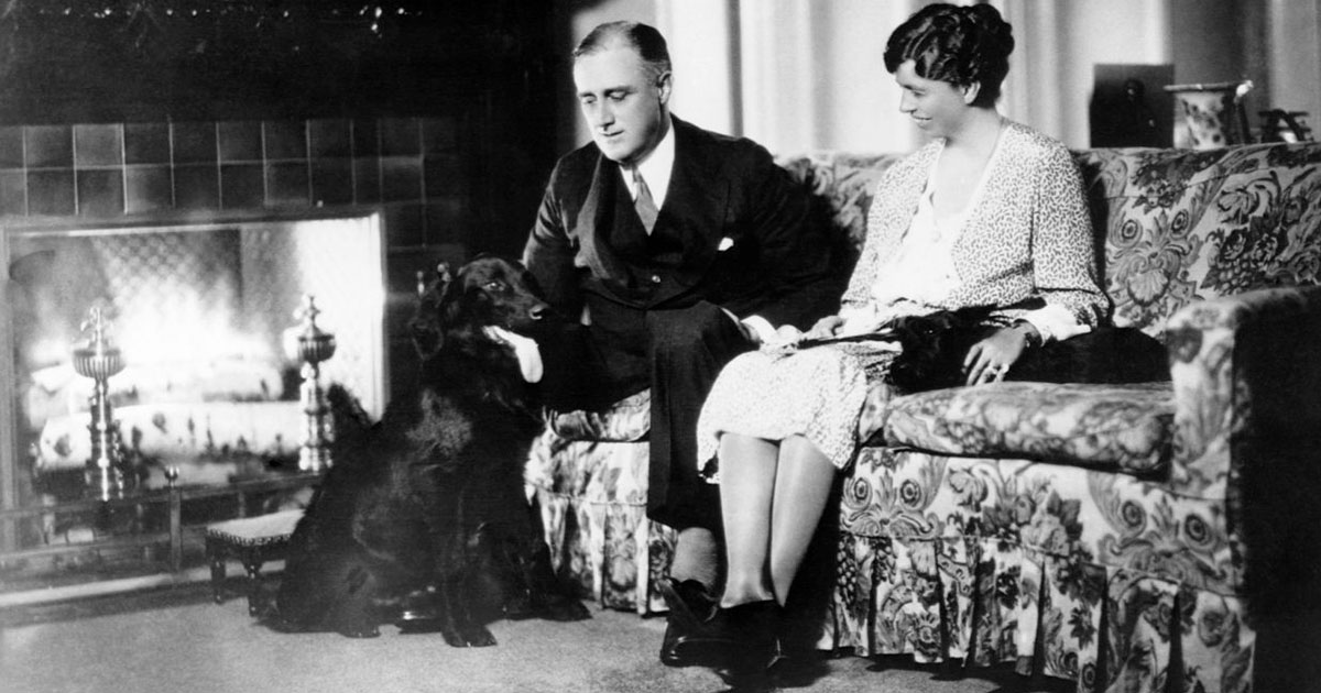 Что сказал Рузвельт, узнав, что его жена в тюрьме - свежие новости на Toplenta по теме Известны