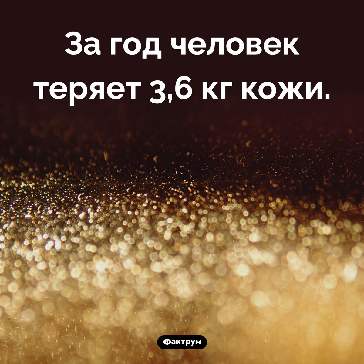Сколько кожи в год теряет человек - свежие новости на Toplenta по теме Факты в картинках