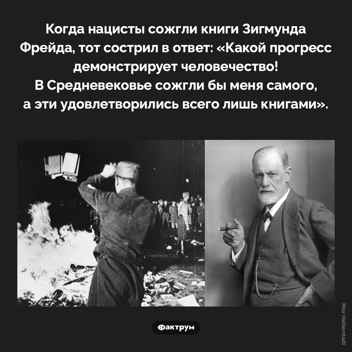 Что сказал Фрейд, когда нацисты сожгли его книги - свежие новости на Toplenta