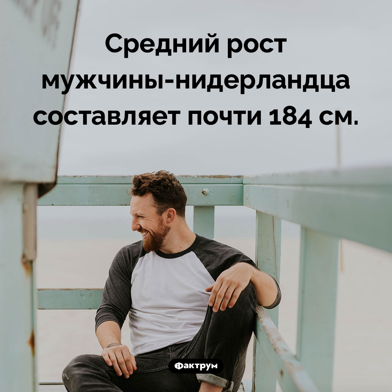 Средний рост нидерландских мужчин - свежие новости на Toplenta по теме Чел