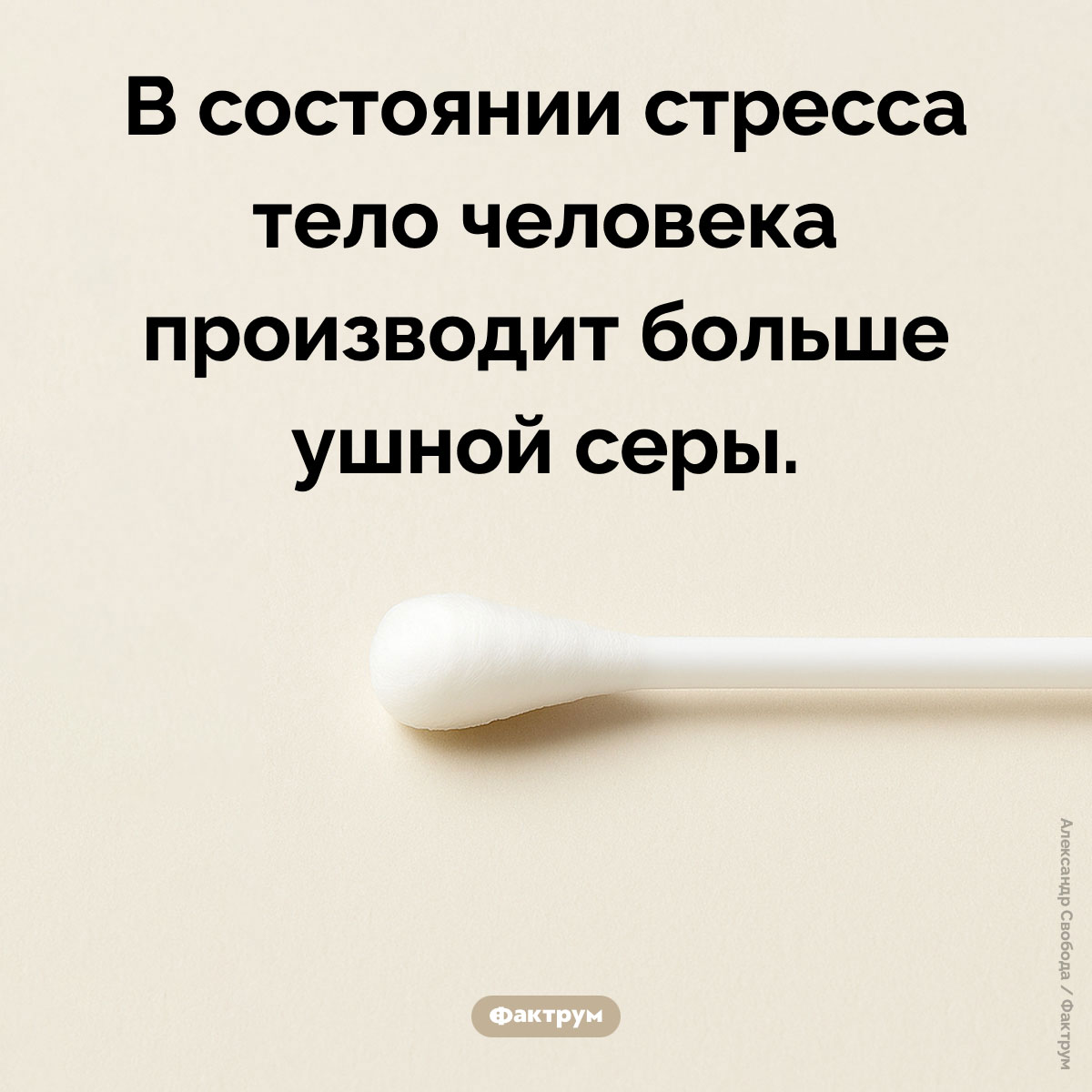 Когда уши производят больше серы - свежие новости на Toplenta по теме Факты в картинках