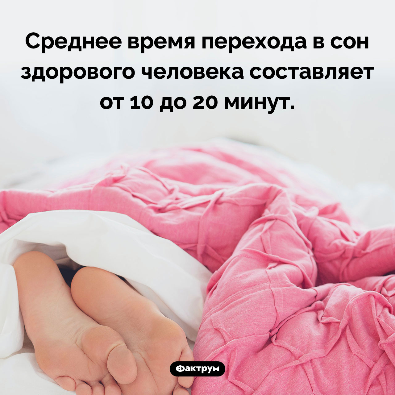 За какое время человек засыпает - свежие новости на Toplenta по теме Факты в картинках
