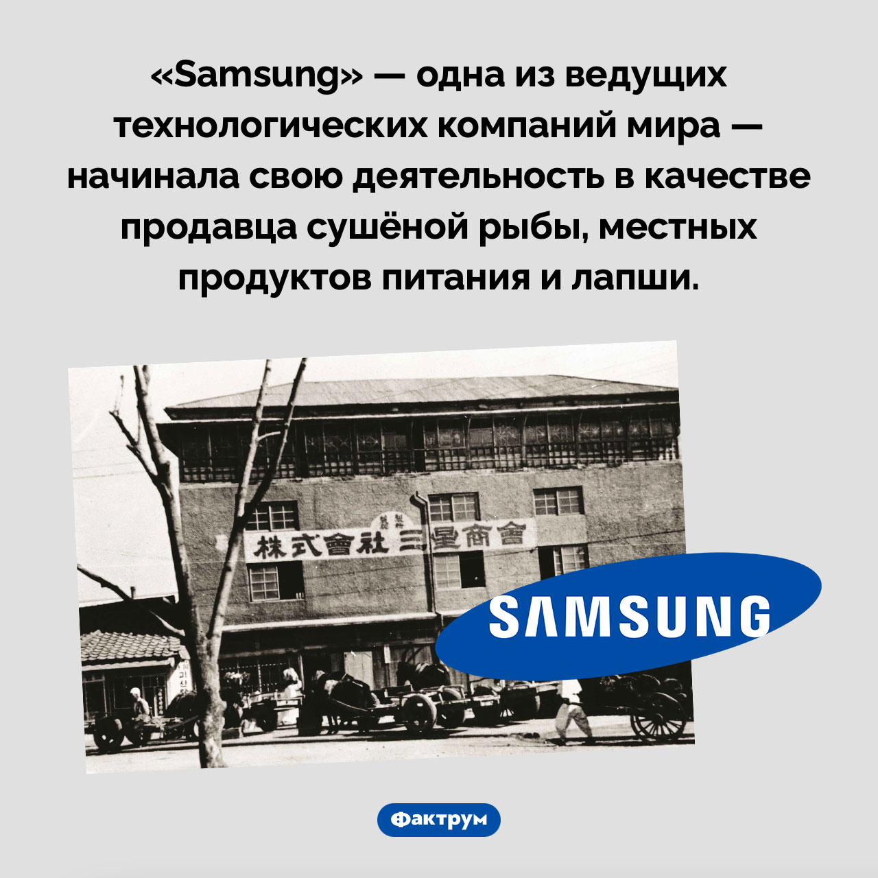 Сушеная рыба от «Samsung» - свежие новости на Toplenta по теме 18.05.2024