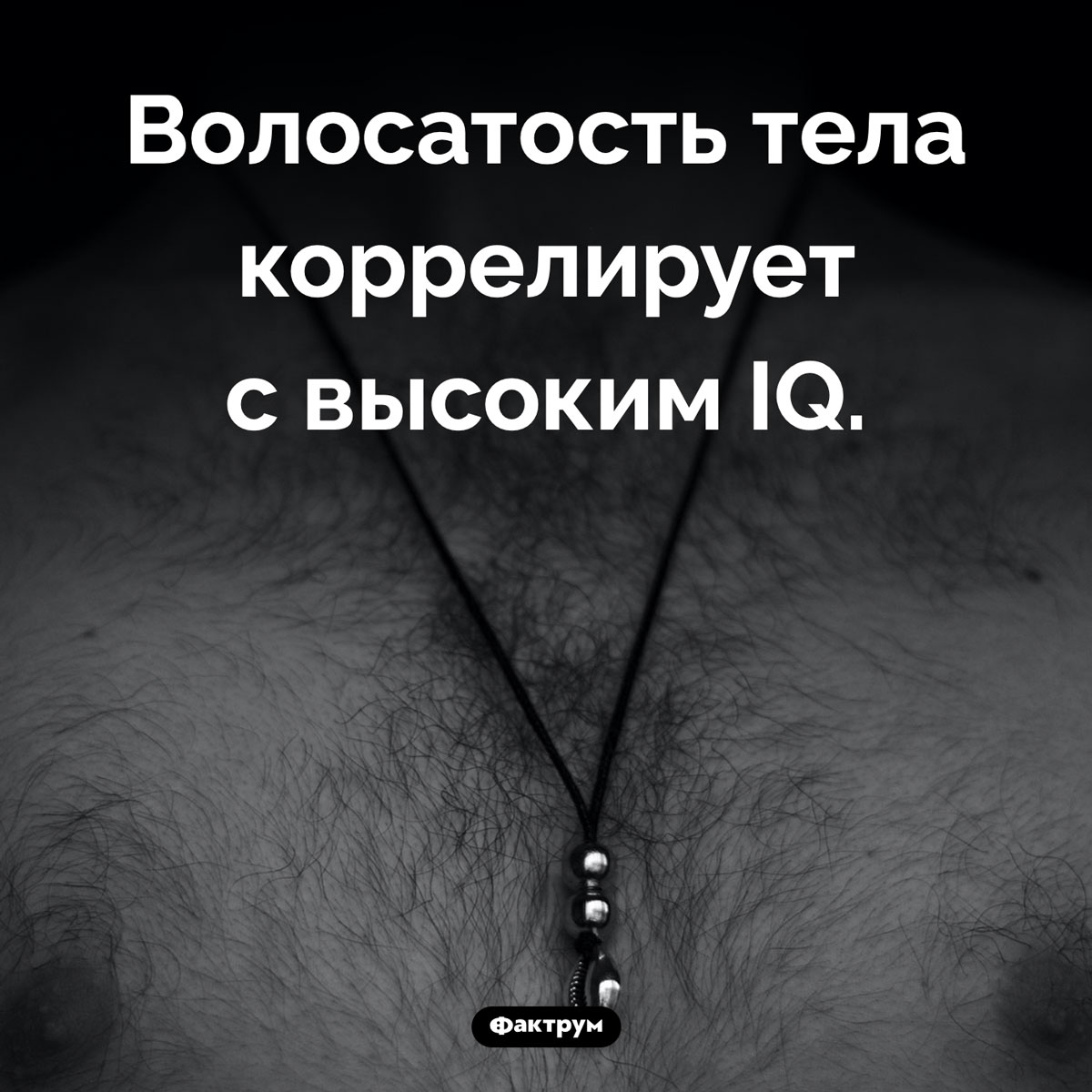 Волосатость и IQ - свежие новости на Toplenta
