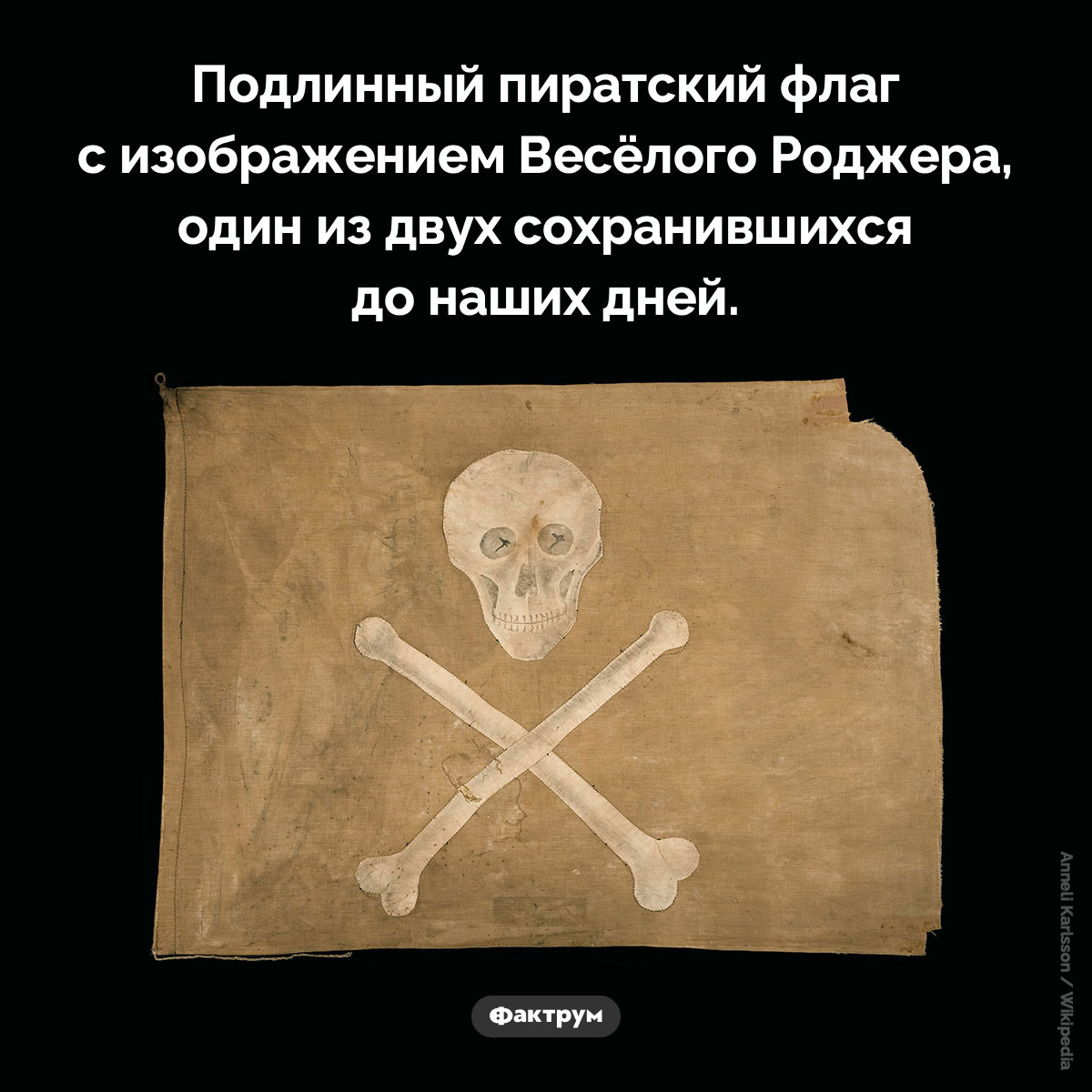 Подлинный пиратский флаг - свежие новости на Toplenta по теме атс