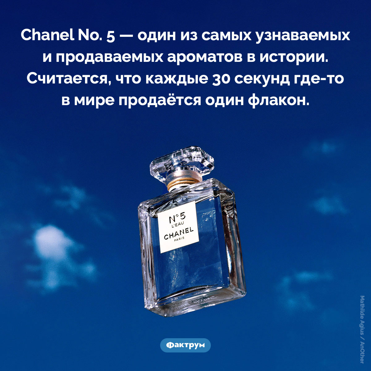 Успех Chanel № 5 - свежие новости на Toplenta по теме Факт