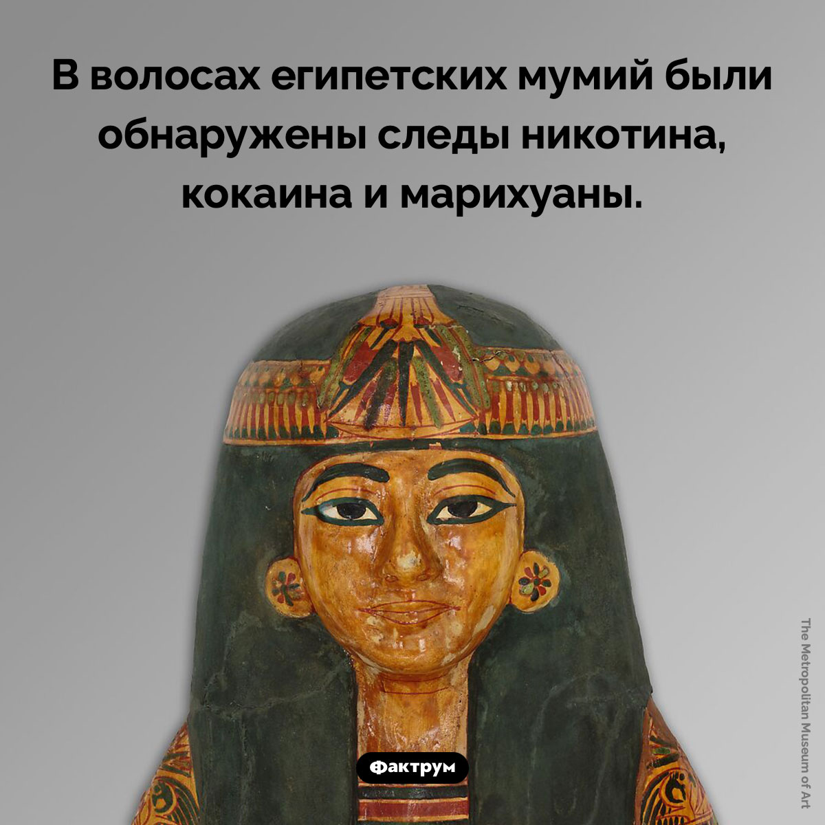 Наркотики в волосах мумий - свежие новости на Toplenta по теме Наук