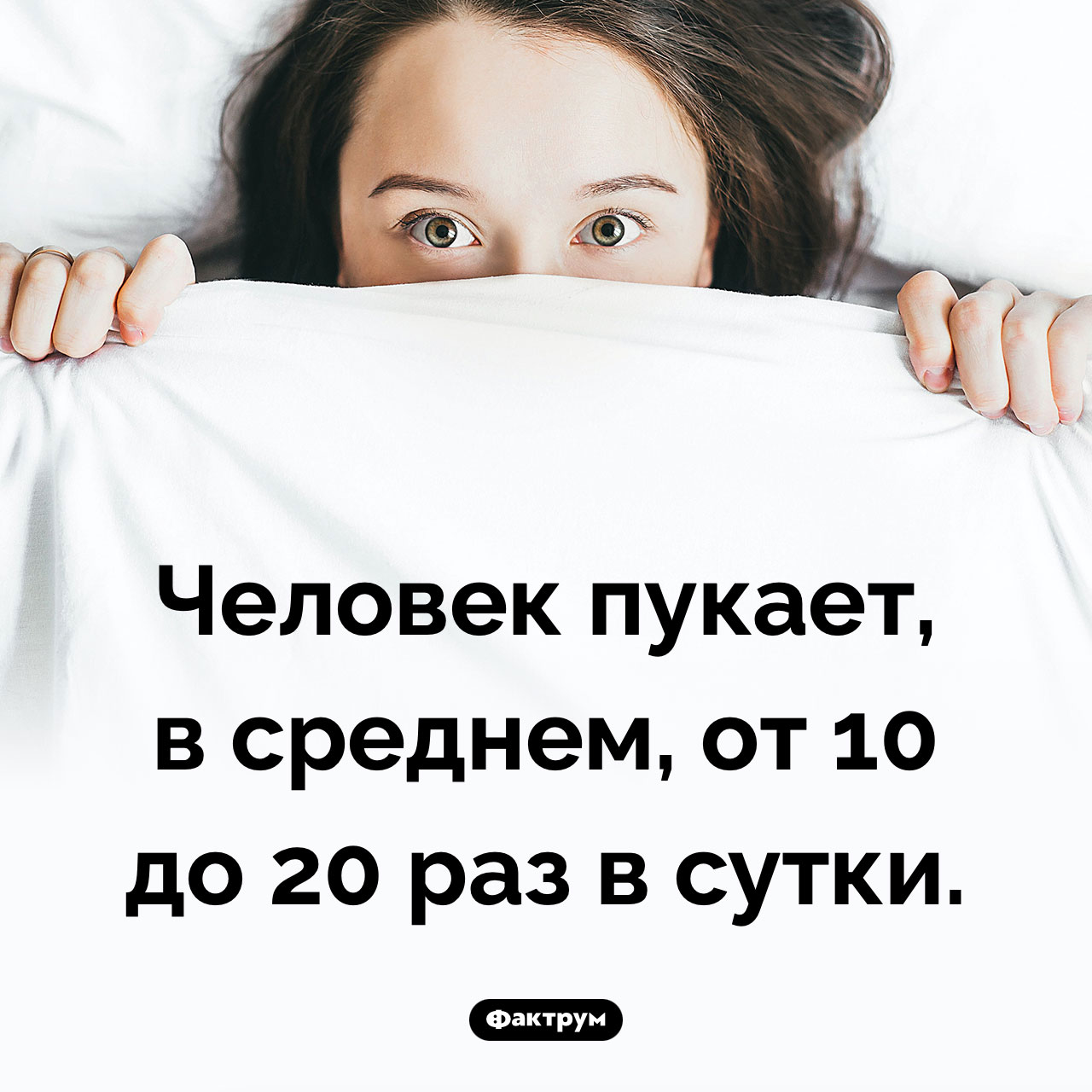 Как часто мы пукаем - свежие новости на Toplenta по теме Факты в картинках