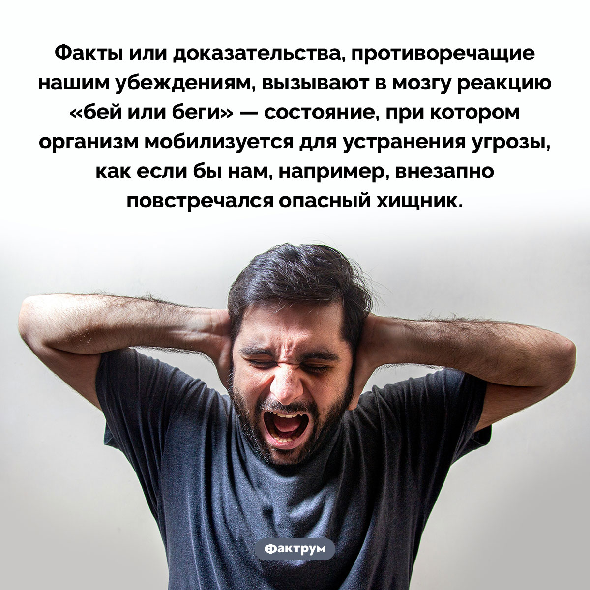 Как человек реагирует на информацию, противоречащую его убеждениям - свежие новости на Toplenta