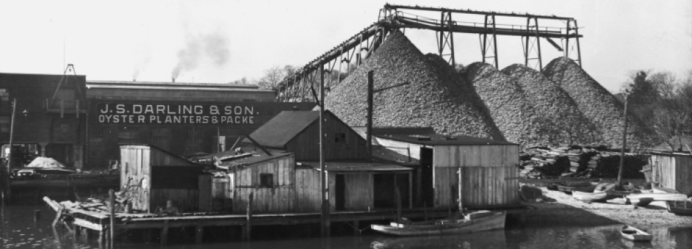 Крупнейшее из задокументированных уничтожение морских видов в истории - свежие новости на Toplenta по теме 19 век