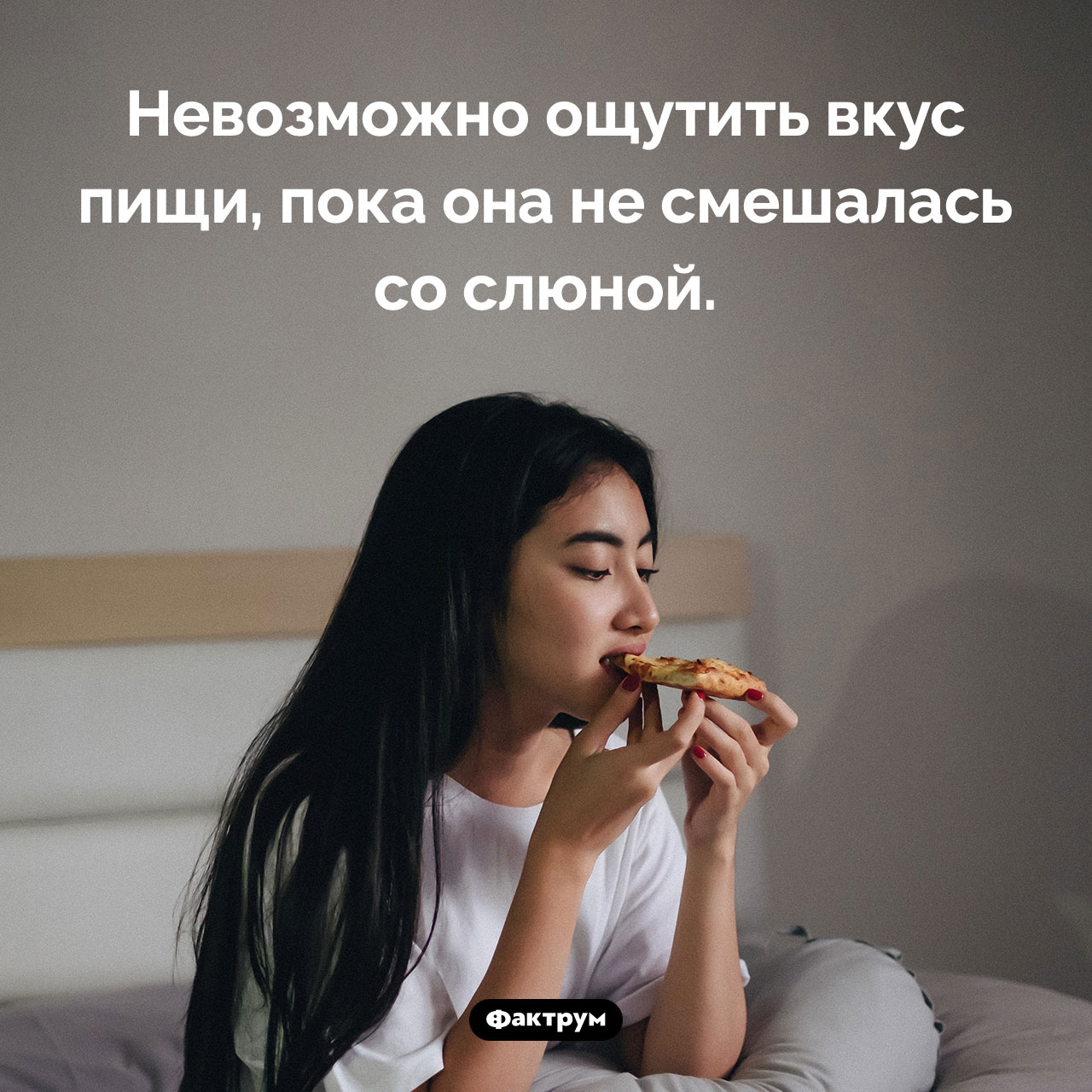 Слюна и вкус еды - свежие новости на Toplenta по теме Факты в картинках