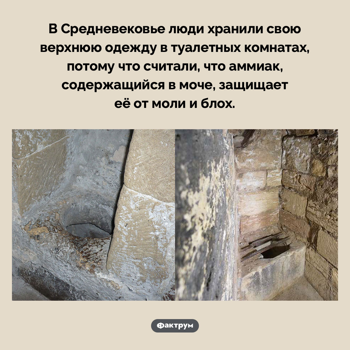 Почему в Средневековье одежду хранили в туалетах - свежие новости на Toplenta по теме культура