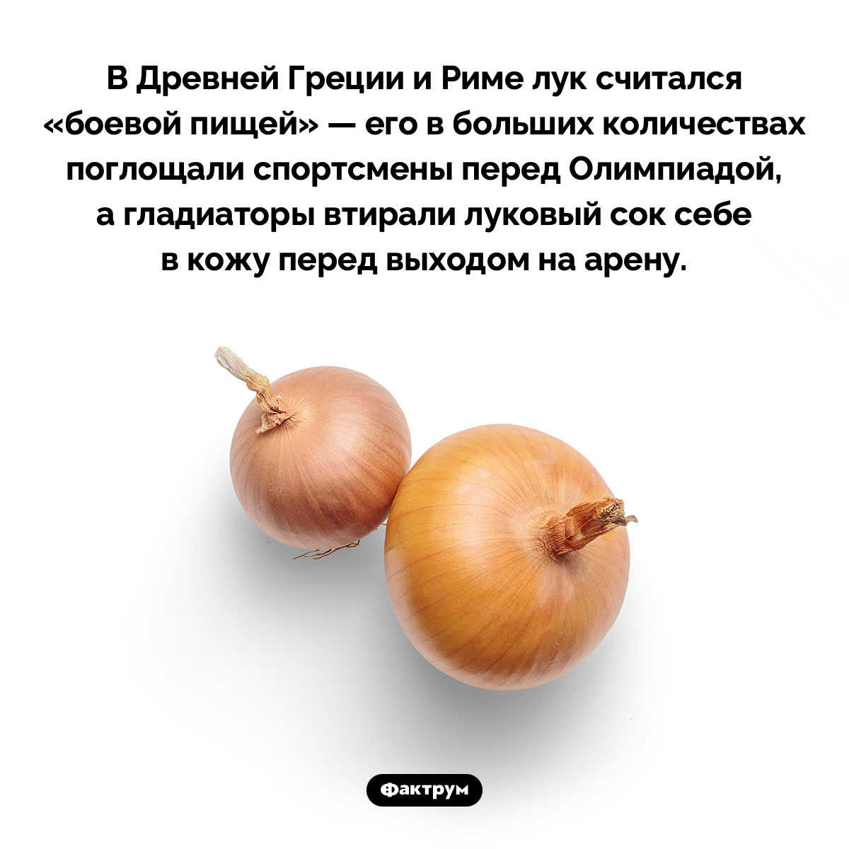 Гладиаторы смазывали тело луковым соком - свежие новости на Toplenta