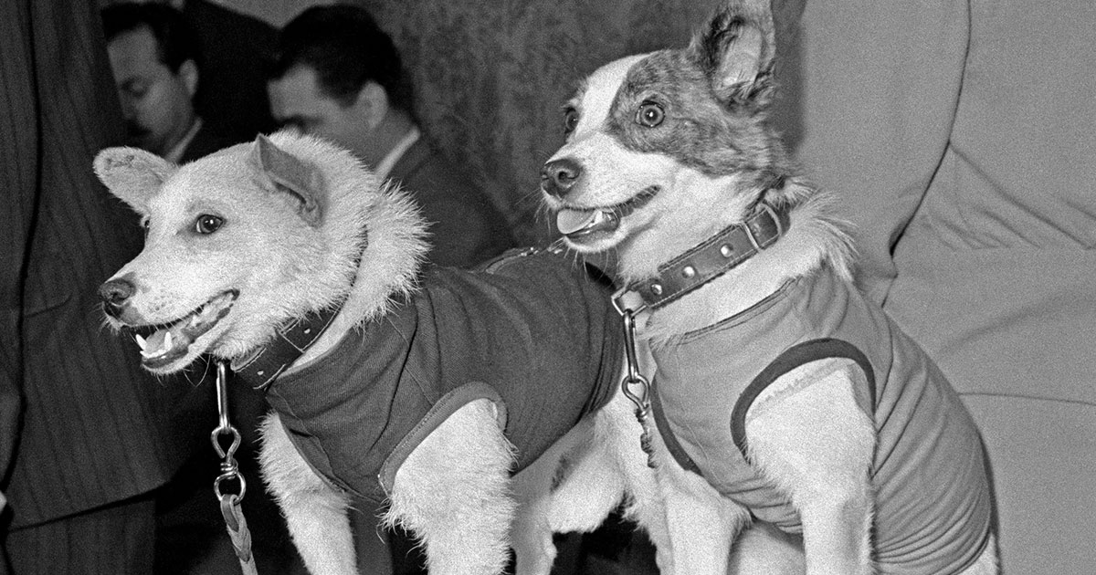 Вильна и Капля - похожая новость на Toplenta