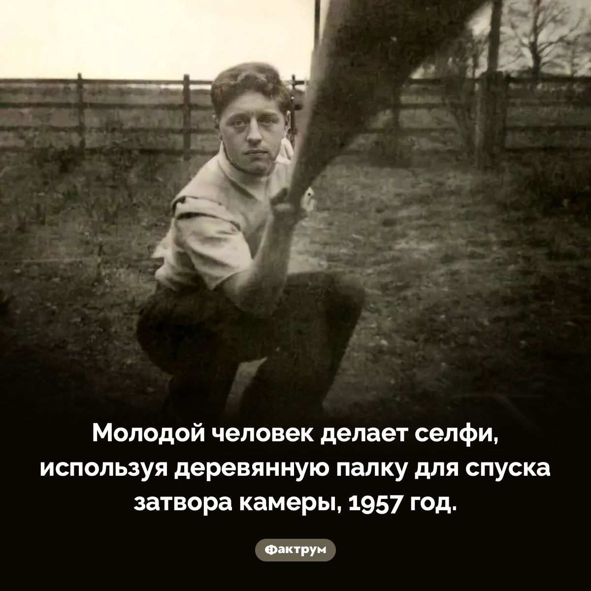 Селфи палкой - свежие новости на Toplenta