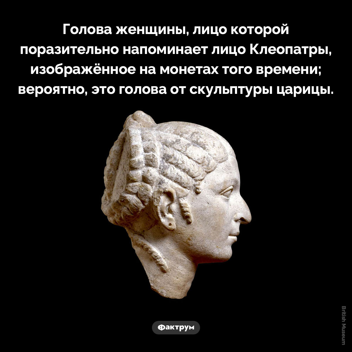 Возможно Клеопатра - свежие новости на Toplenta