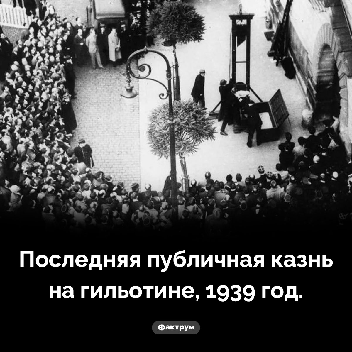 Публичная казнь - свежие новости на Toplenta