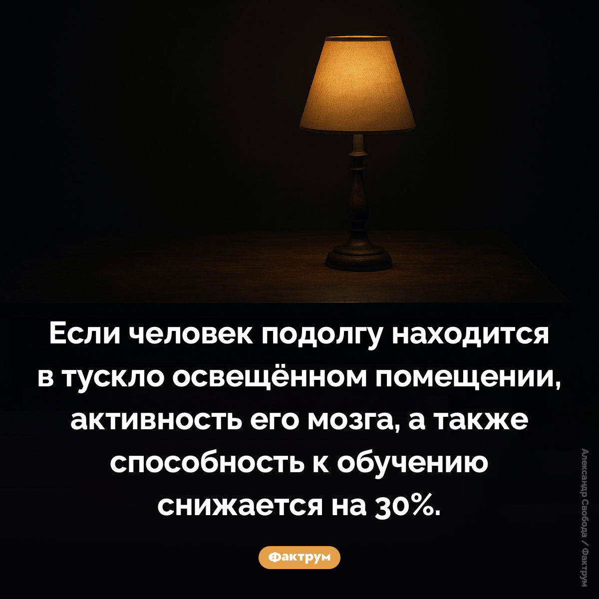 Нельзя работать в плохо освещённых помещениях - свежие новости на Toplenta по теме Факты в картинках