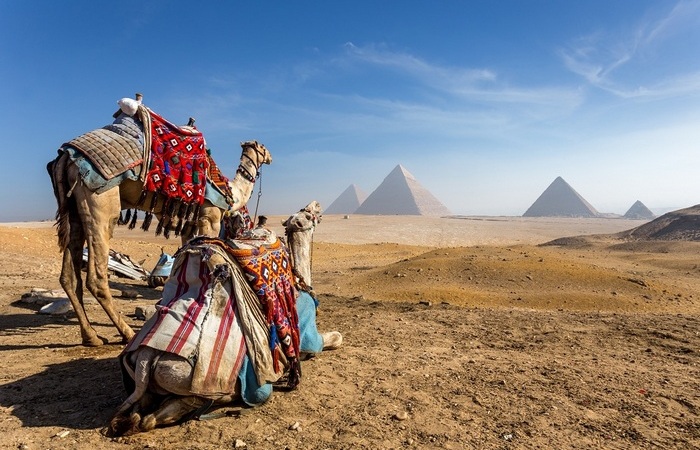 7 правил, которые нужно соблюдать в Египте, чтобы не попасть на штраф или за решетку - свежие новости на Toplenta по теме Рафаэль социальный