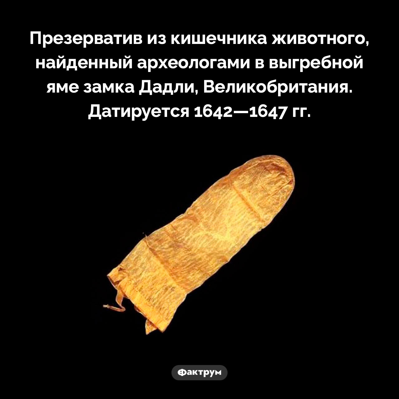 Презерватив 17 века - свежие новости на Toplenta по теме Наук