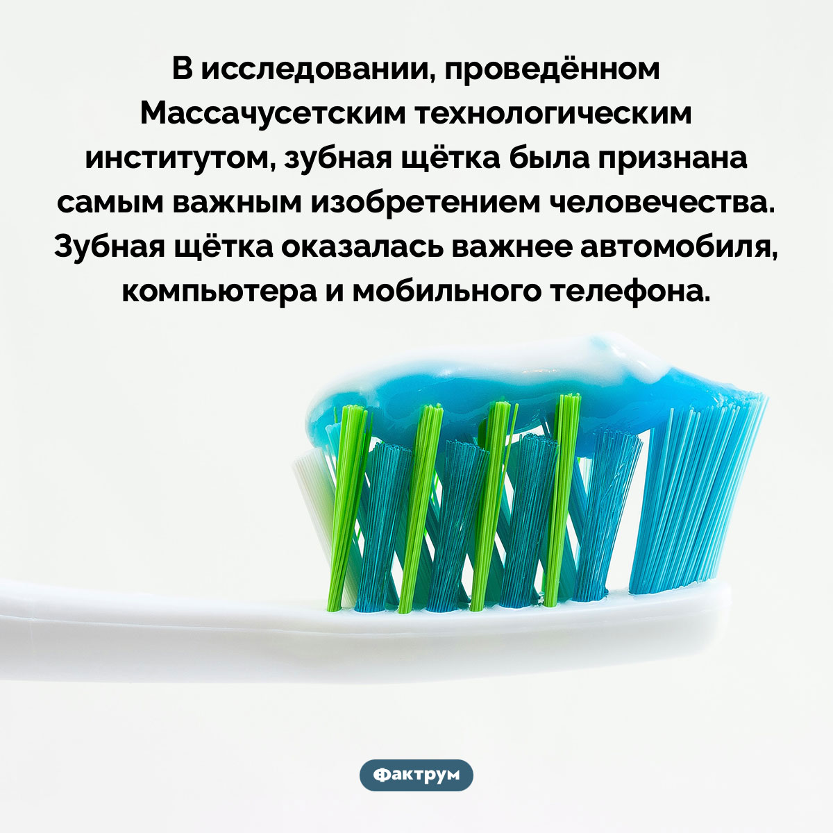 Зубная щётка была признана самым важным изобретением человечества - свежие новости на Toplenta