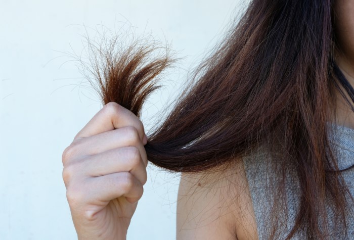 9 ошибок при уходе, которые то и дело допускают обладательницы тонких волос - свежие новости на Toplenta по теме социальная сеть