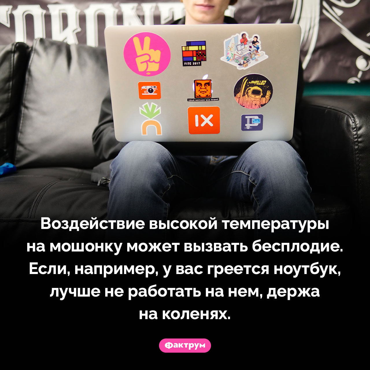 Воздействие высокой температуры на мужские яички - свежие новости на Toplenta