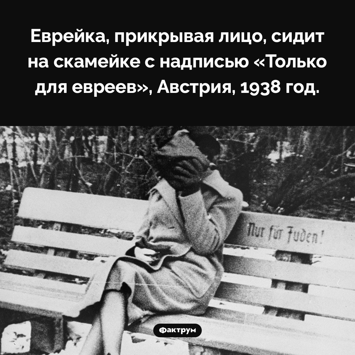 Только для евреев - похожая новость на Toplenta