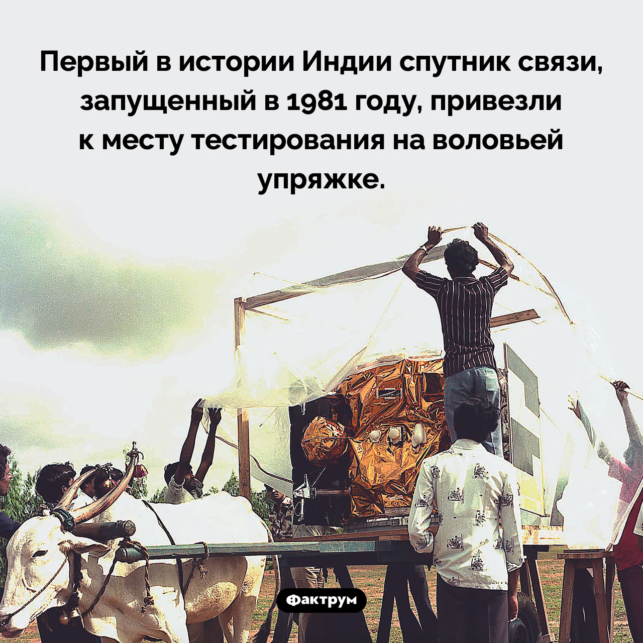 Первый индийский спутник связи и воловья упряжка - свежие новости на Toplenta по теме Космические аппараты