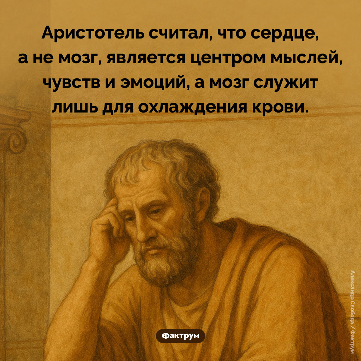 Аристотель считал, что мы думаем сердцем - свежие новости на Toplenta