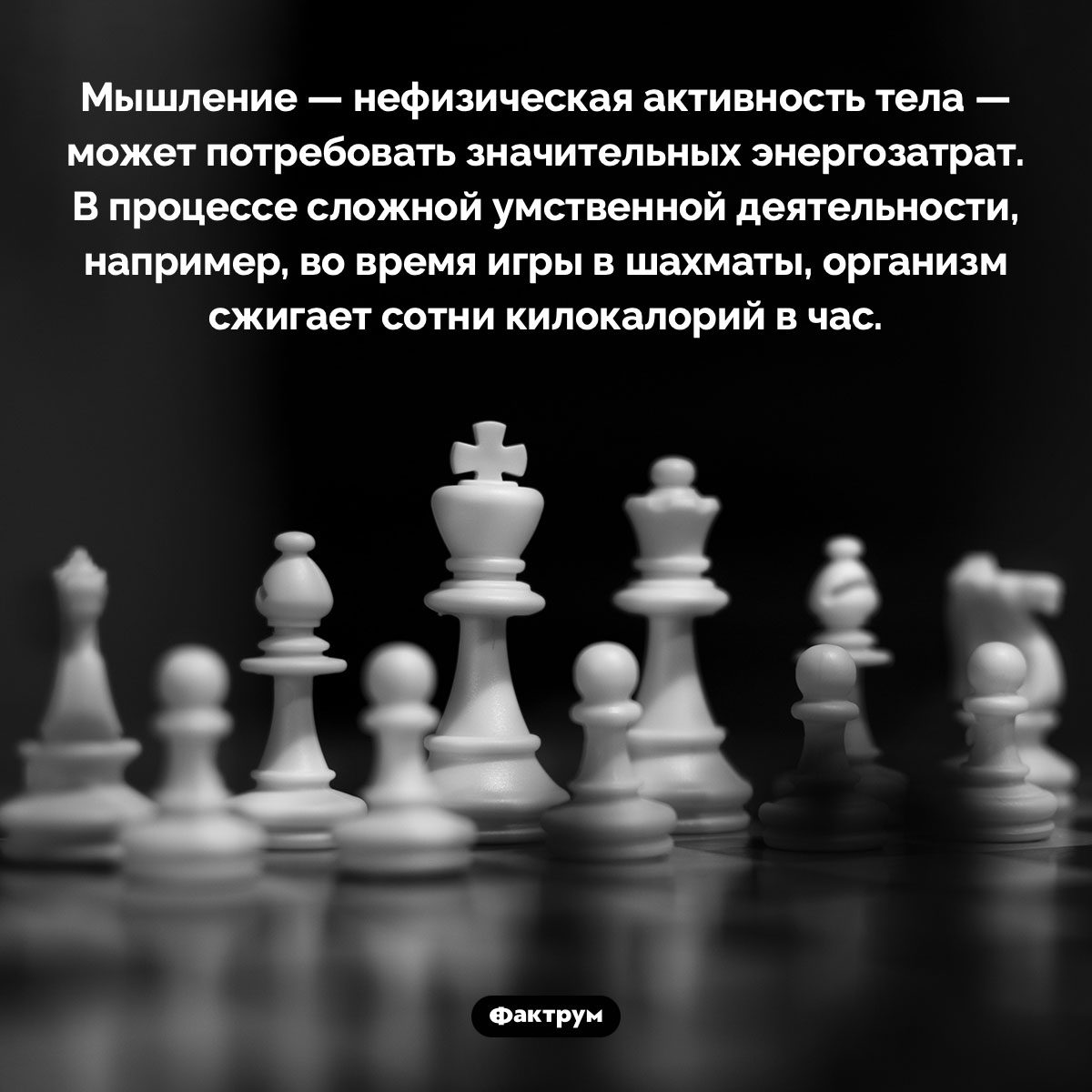 Мышление может сжигать сотни килокалорий в час - похожая новость на Toplenta
