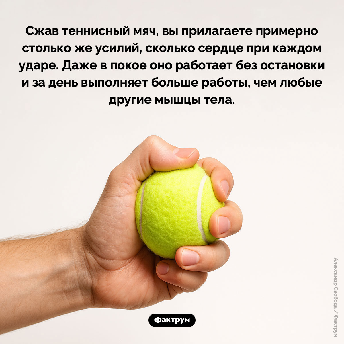 Сила сердца - похожая новость на Toplenta